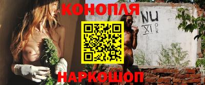 прущие грибы Краснознаменск
