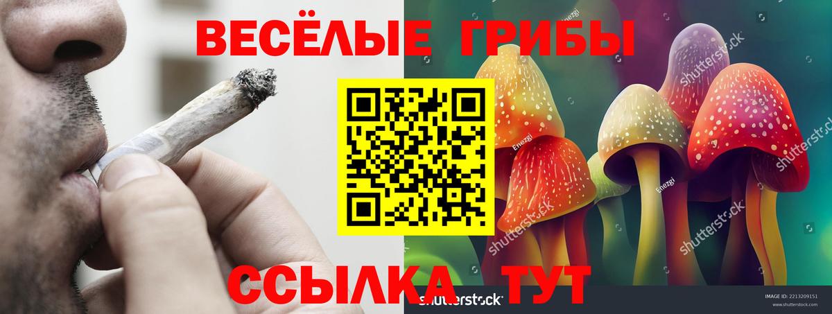 Галлюциногенные грибы Cubensis Йошкар-Ола